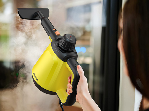 steam cleaner