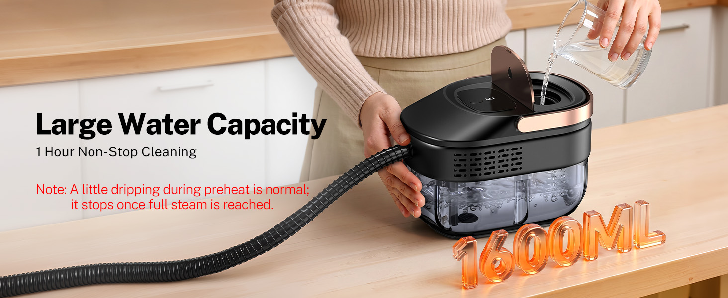 steam cleaner for home