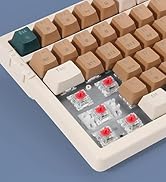 100 Keys Wireless Mechanical Keyboard, Triple Mode 2.4G/USB-C/BT | Clicky Keyboard 98% Gaming Key...