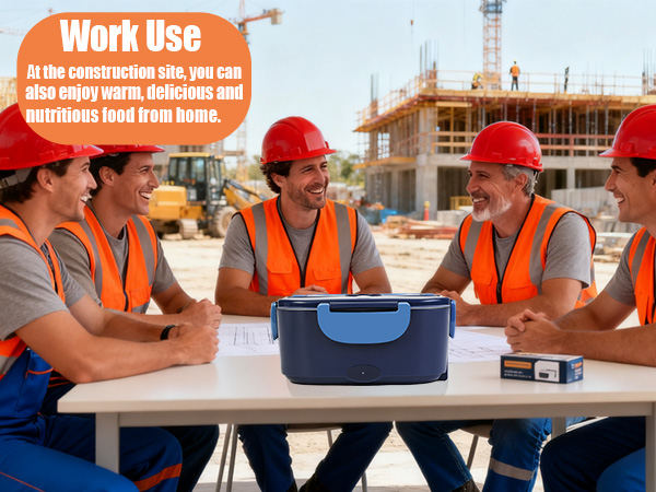 electric lunch box for car