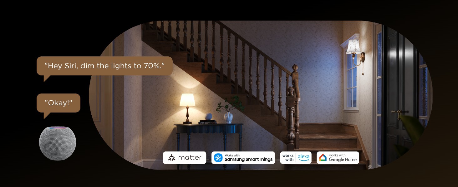 Govee smart edison bulbs ST19 voice control