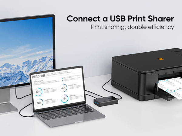 connect a usb print sharer