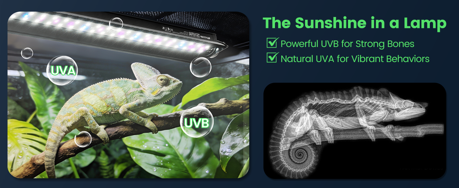 UVB LED Reptile Light