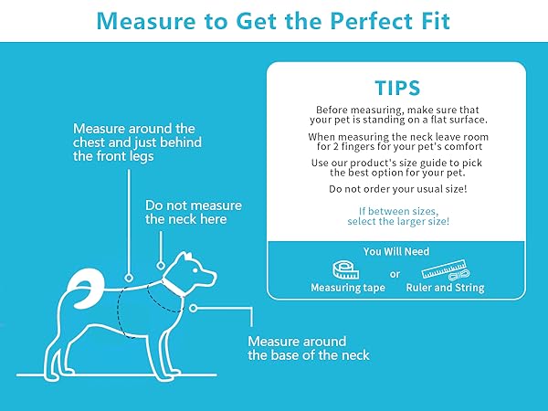 AIITLE Extra Small Dog Harness - Step in Vest Harness with A Leash, Reflective Bands