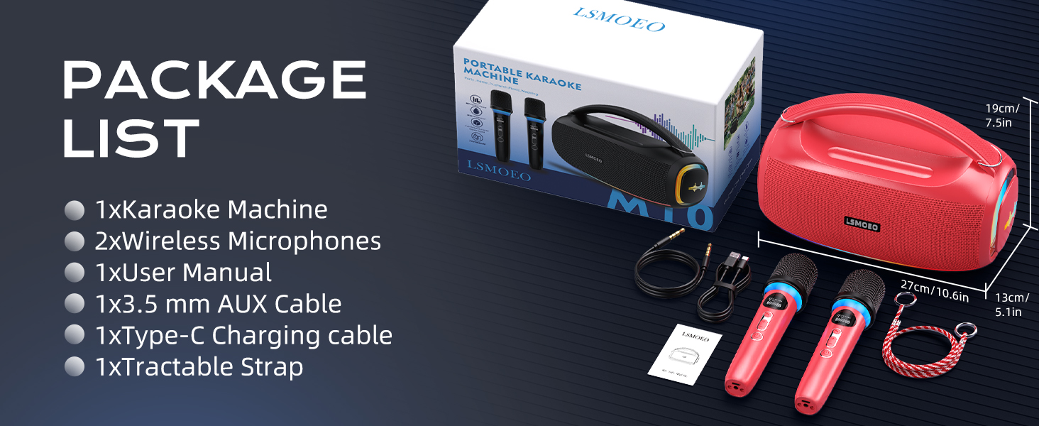 Karaoke Machine for Adults