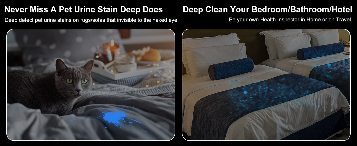 black light for pet urine detection