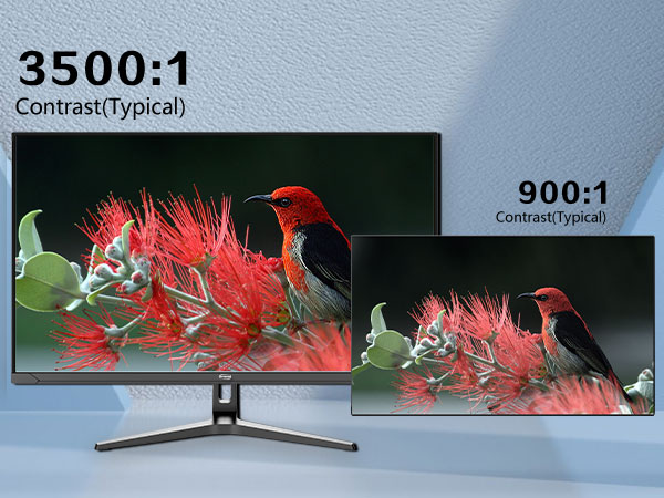 32 Inch 4K Computer Monitor 60HZ