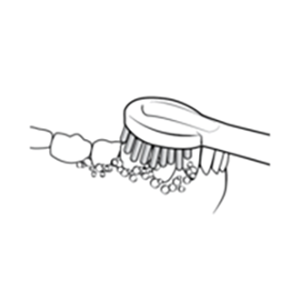 Sonic-Fusion Flossing Brush Head - Brushing
