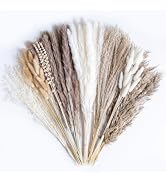 130PCS Natural Dried Pampas Grass Boho Home Decor Bouquet Phragmites Dried Flowers Bouquet for We...