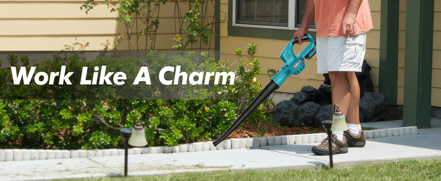 leaf blower cordless