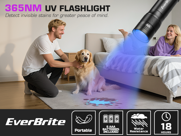 EverBrite 2 Pack UV Flashlight, 365nm Black Light EDC Flashlight, Portable Ultraviolet Flashlight