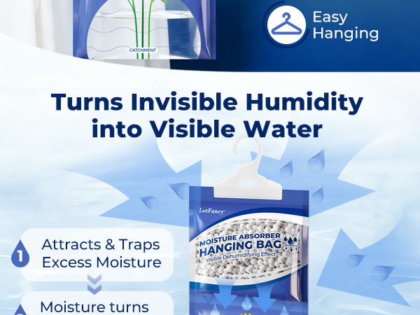 moisture absorbers for closet