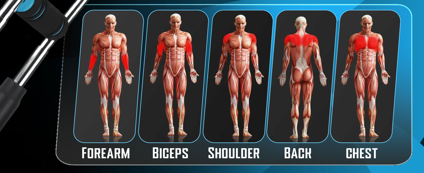 Full Body workout