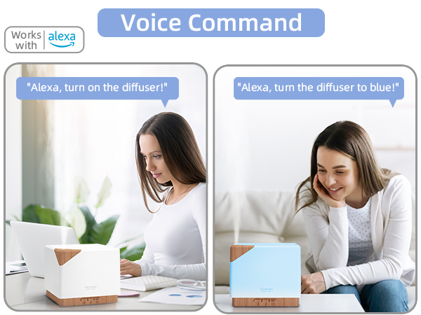 alexa voice diffuser