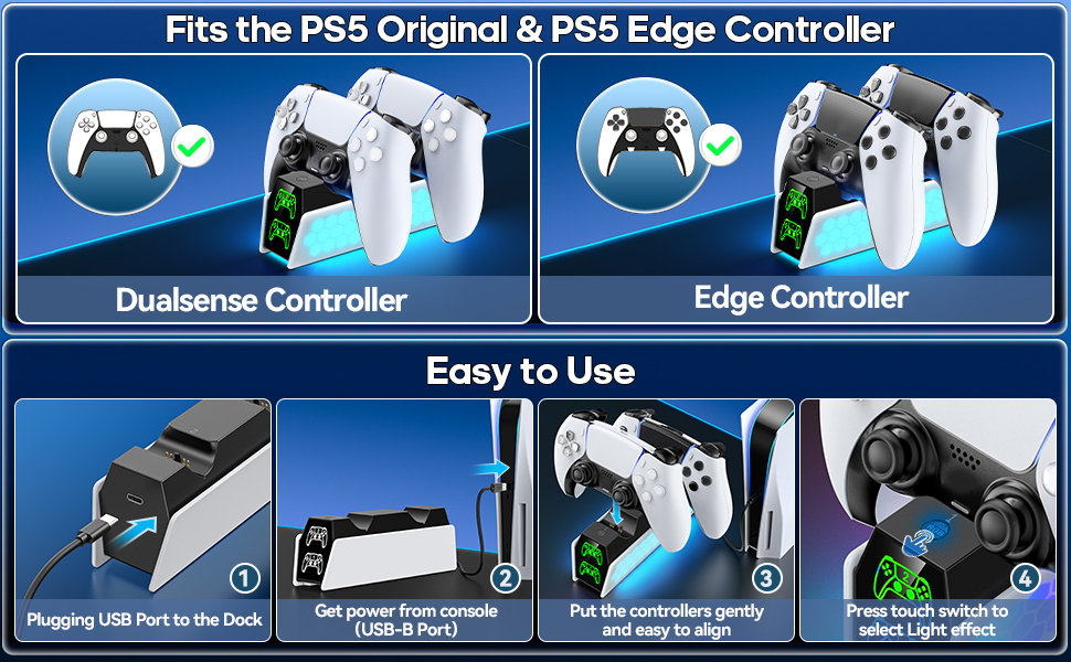 P5 Controller charger