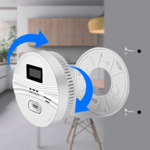 Smoke and Carbon Monoxide Detector