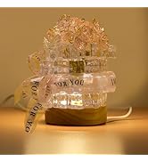 DIY Ice Cube Rose Light LED Night Light Kit, 3 Speed Dimming Bedside Lamp with USB Cable and Swit...