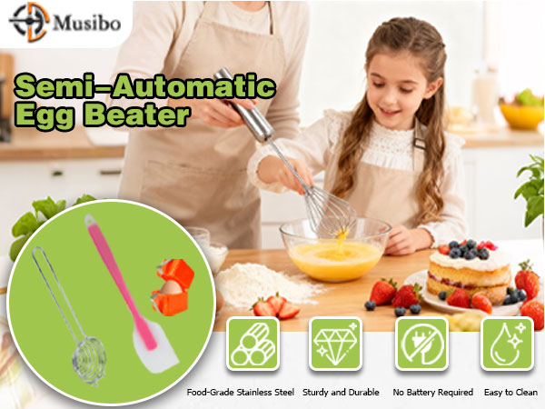 Stainless Steel Egg Whisk