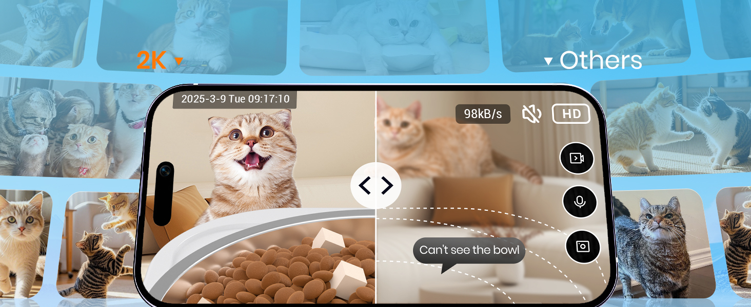 automatic cat feeder with camera