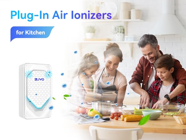 Air Ionizer Plug In