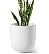 LE TAUCI 10 Inch Plant Pot, Ceramic Pots for Plants with Drainage Hole and Rubber Plug, Plant Pot...