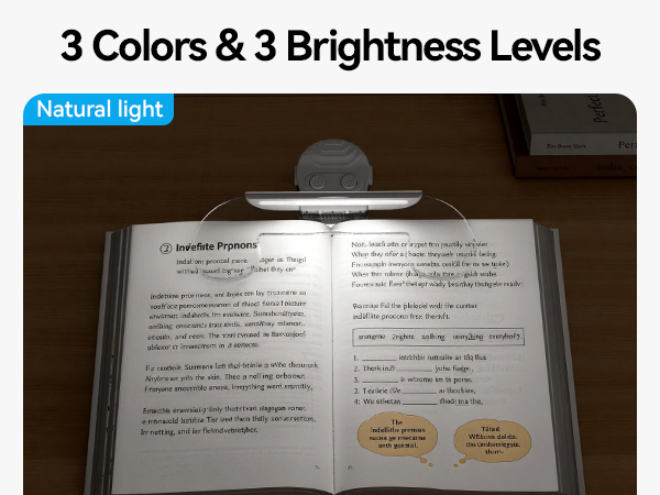 rechargeable reading light