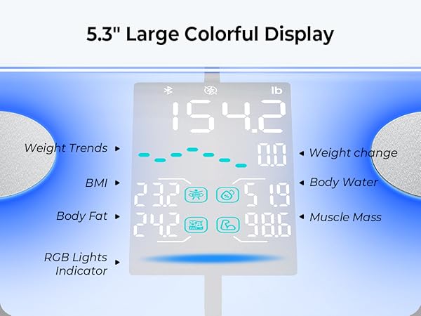 smart scale with bmi, body fat, muscle mass