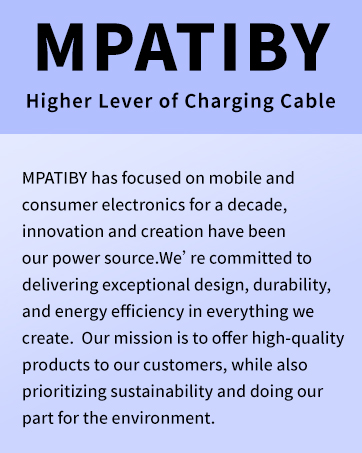 USB C Multi Charging Cable