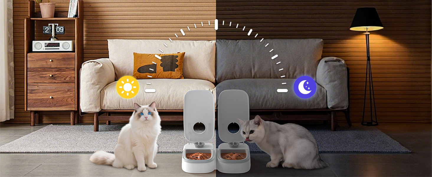 automatic cat feeder