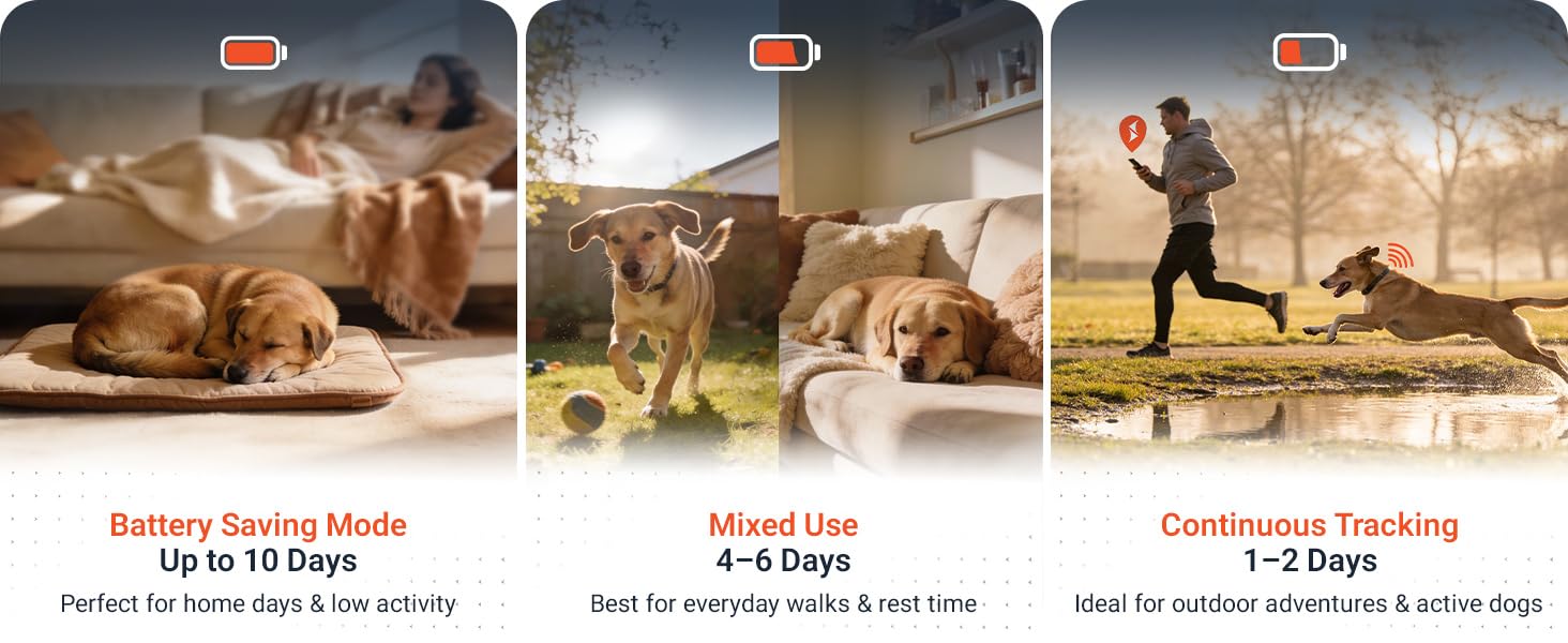 pet loaction tracker