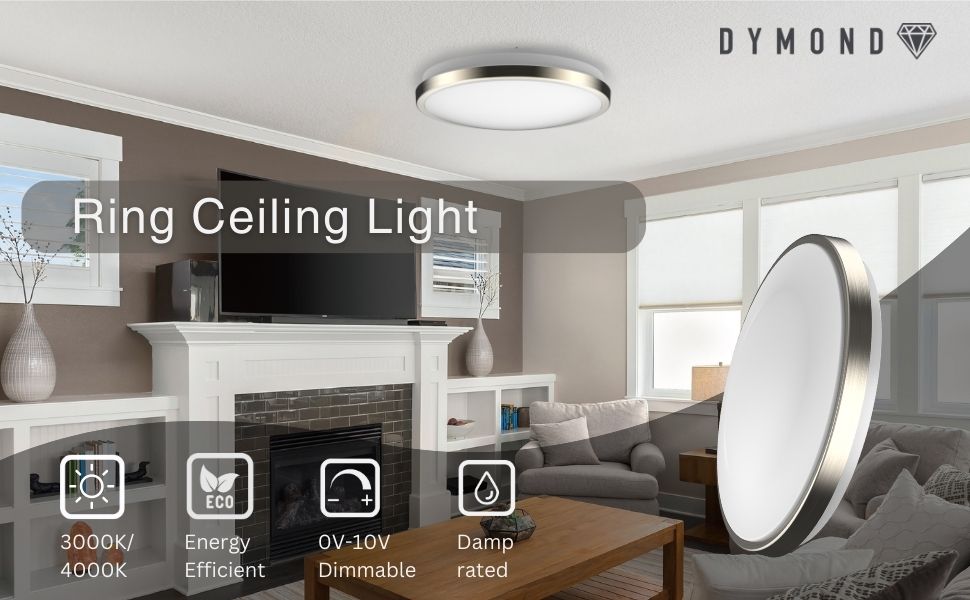 Ring Ceiling light 10in