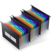 ThinkTex Plastic Expanding Hanging File Folders, 7 Innovative 1.2" Accordian Pockets, Large Capac...