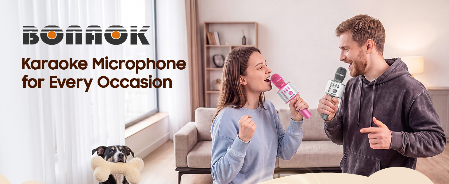 karaoke microphone