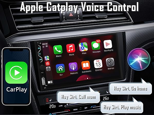 carplay voice