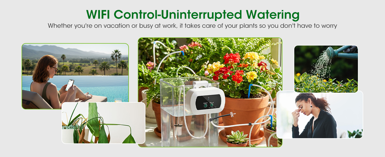 plant watering devices