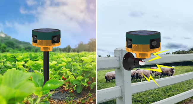 timer for outdoor lights dog barking deterrent outdoor motion sensor switch bark deterrent