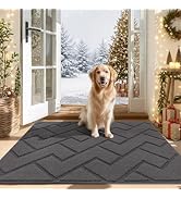 hicorfe Indoor Door Mat,Non Slip Door Mats,32"x48" Front Back Door Mat Rubber Backing,Absorbent R...
