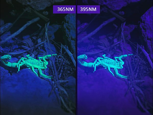 blacklight flashlights