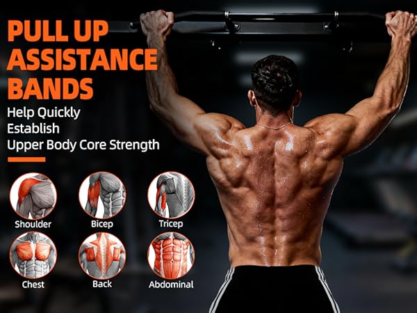 Full-Body Strength Trainer