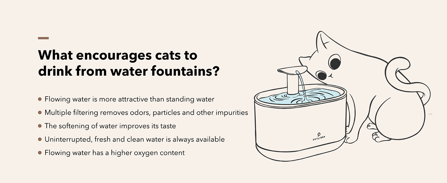 cat water fountain