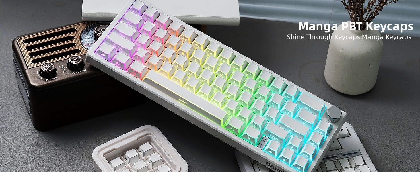 PBT Shine Through Keycaps Manga White, OEM Profile Side Printed Custom Key caps
