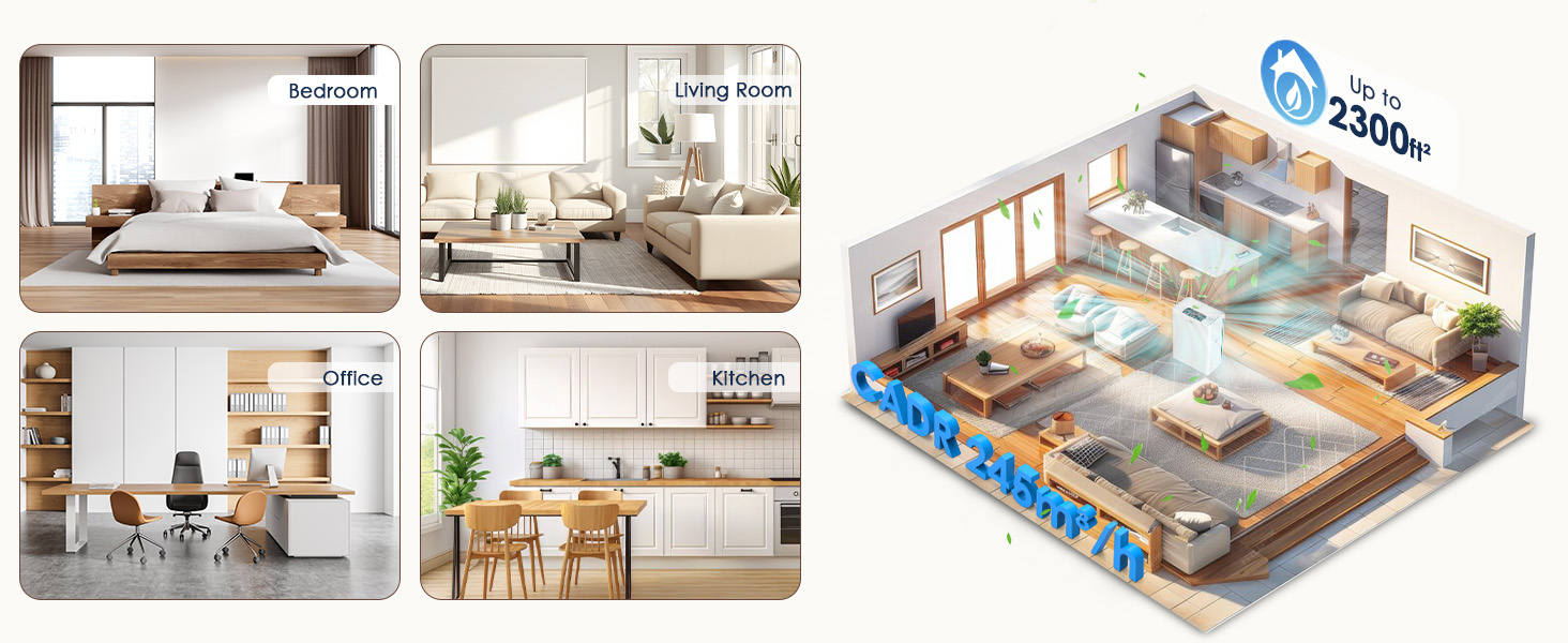 Air Purifiers for Home