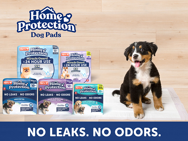 Home Protection Dog Pads