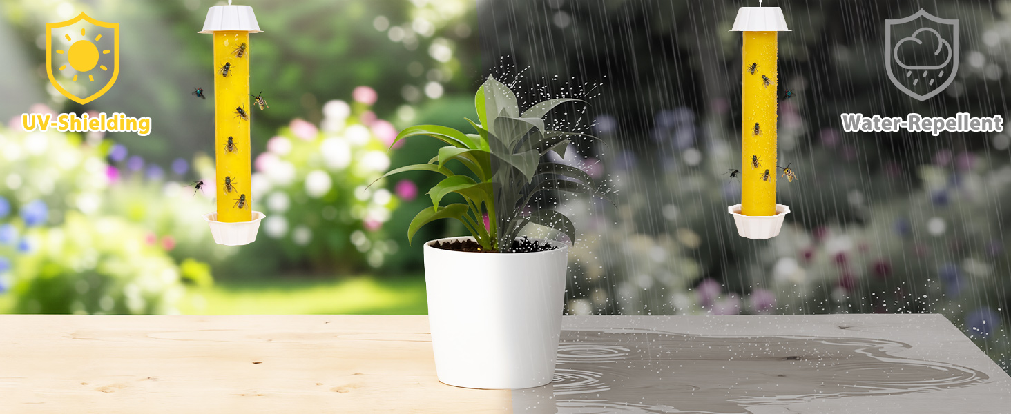 fly traps outdoor