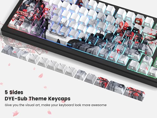 pbt keycaps