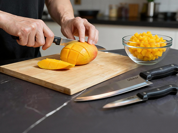 5 Inch Utility Knife