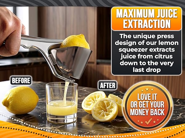 food press lemon slice squeezer lemon squeezer bird citrus squeezer hand press fruit squeezer