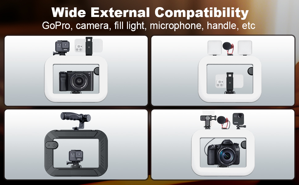 Smartphone Video Rig with Light