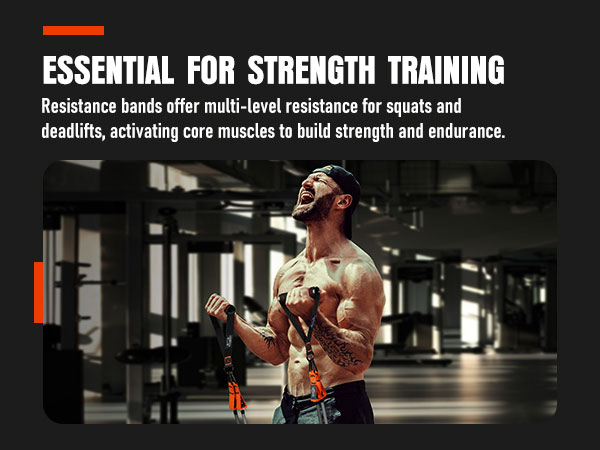 Exercise Bands with Handles