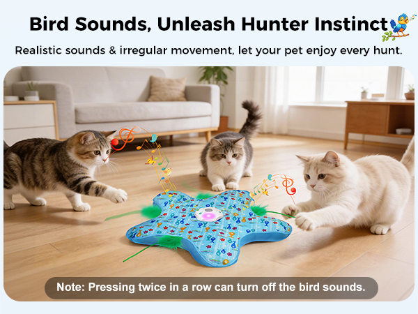 cat toy